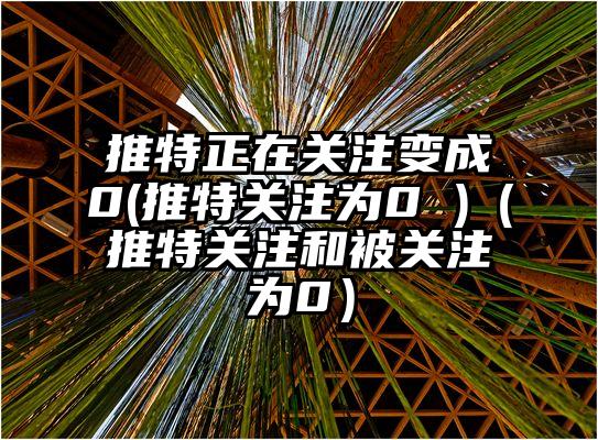 推特正在关注变成0(推特关注为0 )（推特关注和被关注为0）