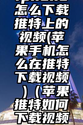 iphone怎么下载推特上的视频(苹果手机怎么在推特下载视频 )（苹果推特如何下载视频到手机）