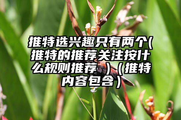 推特选兴趣只有两个(推特的推荐关注按什么规则推荐 )(推特内容包含)