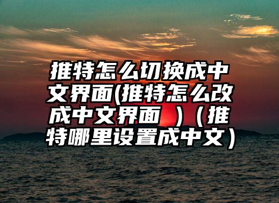 推特怎么切换成中文界面(推特怎么改成中文界面 )（推特哪里设置成中文）