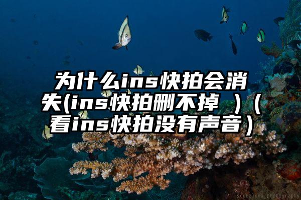 为什么ins快拍会消失(ins快拍删不掉 )（看ins快拍没有声音）
