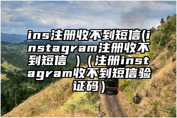 ins注册收不到短信(instagram注册收不到短信 )（注册instagram收不到短信验证码）