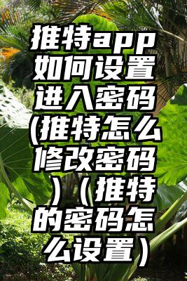 推特app如何设置进入密码(推特怎么修改密码 )（推特的密码怎么设置）