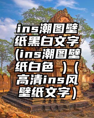 ins潮图壁纸黑白文字(ins潮图壁纸白色 )（高清ins风壁纸文字）