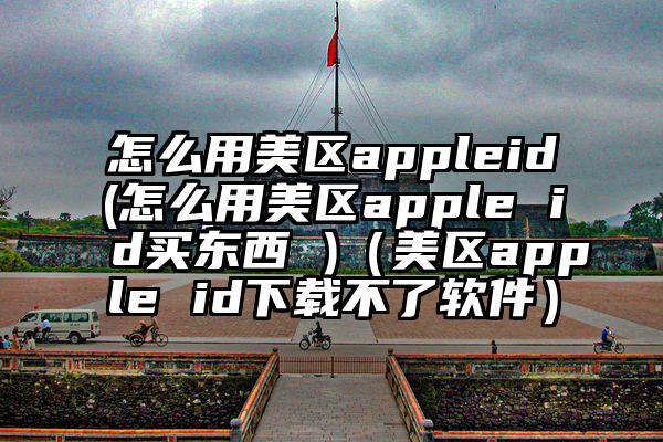 怎么用美区appleid(怎么用美区apple id买东西 )（美区apple id下载不了软件）