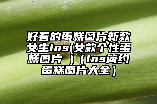 好看的蛋糕图片新款女生ins(女款个性蛋糕图片 )（ins简约蛋糕图片大全）