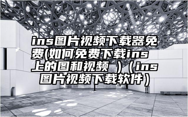 ins图片视频下载器免费(如何免费下载ins 上的图和视频 )（ins图片视频下载软件）
