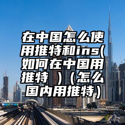 在中国怎么使用推特和ins(如何在中国用推特 )（怎么国内用推特）