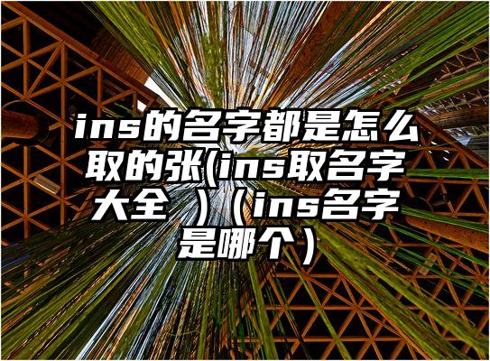 ins的名字都是怎么取的张(ins取名字大全 )（ins名字是哪个）