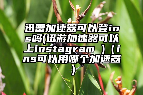 迅雷加速器可以登ins吗(迅游加速器可以上instagram )（ins可以用哪个加速器）