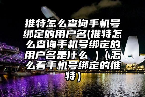 推特怎么查询手机号绑定的用户名(推特怎么查询手机号绑定的用户名是什么 )（怎么看手机号绑定的推特）
