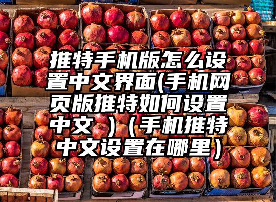 推特手机版怎么设置中文界面(手机网页版推特如何设置中文 )（手机推特中文设置在哪里）
