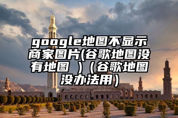 google地图不显示商家图片(谷歌地图没有地图 )（谷歌地图没办法用）
