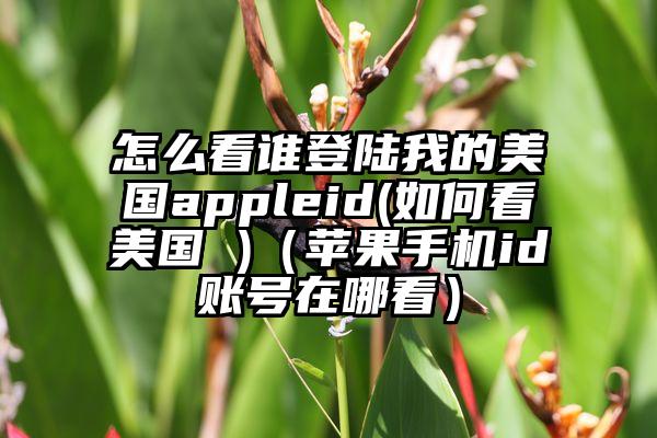 怎么看谁登陆我的美国appleid(如何看美国 )（苹果手机id账号在哪看）