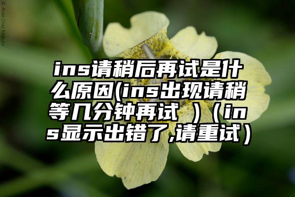 ins请稍后再试是什么原因(ins出现请稍等几分钟再试 )（ins显示出错了,请重试）