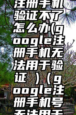 google注册手机验证不了怎么办(google注册手机无法用于验证 )（google注册手机号无法用于验证不了）