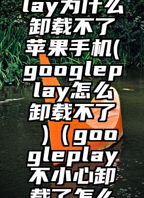 googleplay为什么卸载不了苹果手机(googleplay怎么卸载不了 )（googleplay不小心卸载了怎么下