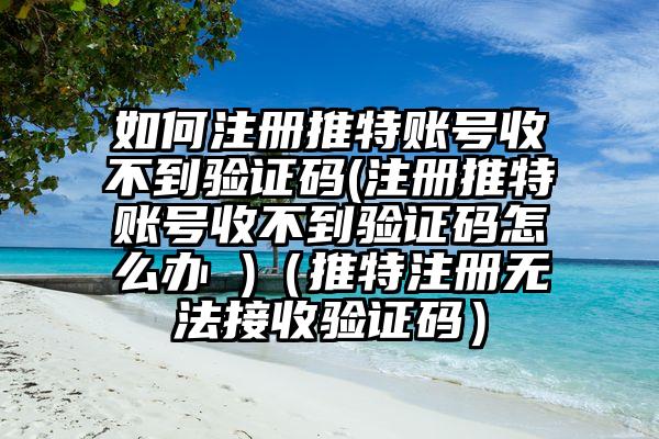 如何注册推特账号收不到验证码(注册推特账号收不到验证码怎么办 )（推特注册无法接收验证码）