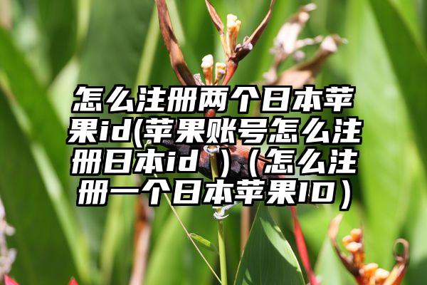 怎么注册两个日本苹果id(苹果账号怎么注册日本id )（怎么注册一个日本苹果ID）