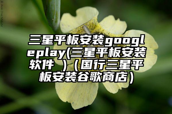 三星平板安装googleplay(三星平板安装软件 )（国行三星平板安装谷歌商店）