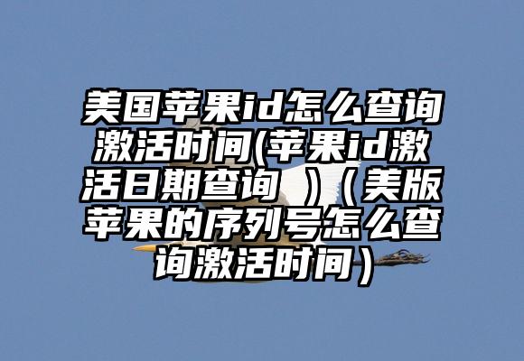 美国苹果id怎么查询激活时间(苹果id激活日期查询 )（美版苹果的序列号怎么查询激活时间）