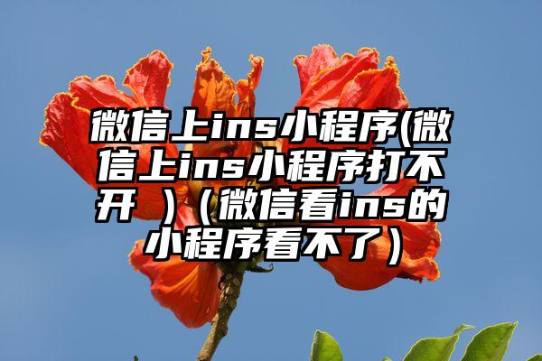 微信上ins小程序(微信上ins小程序打不开 )（微信看ins的小程序看不了）