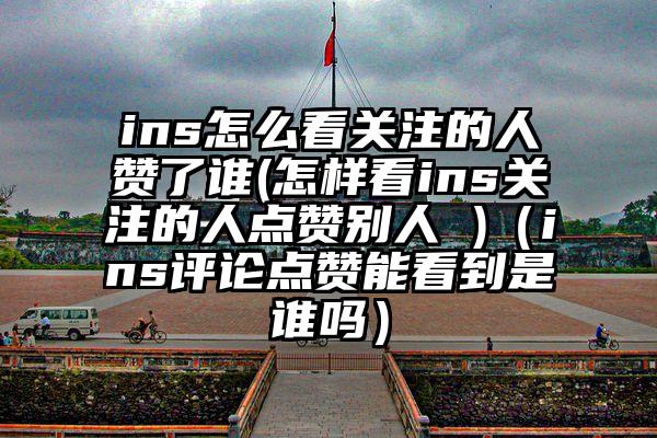ins怎么看关注的人赞了谁(怎样看ins关注的人点赞别人 )（ins评论点赞能看到是谁吗）