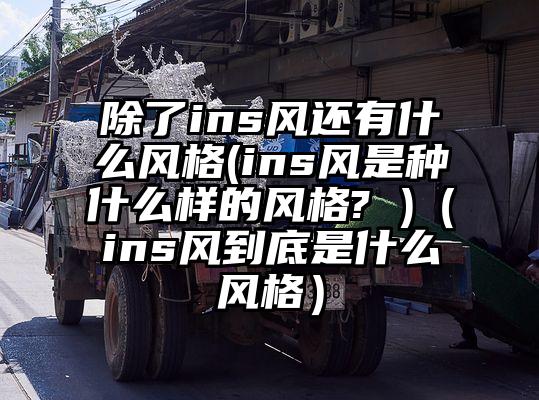 除了ins风还有什么风格(ins风是种什么样的风格? )(ins风到底是什么风格)