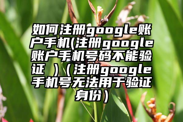 如何注册google账户手机(注册google账户手机号码不能验证 )（注册google手机号无法用于验证身份）