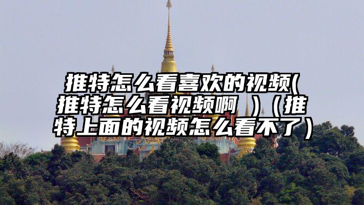推特怎么看喜欢的视频(推特怎么看视频啊 )（推特上面的视频怎么看不了）