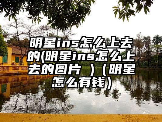 明星ins怎么上去的(明星ins怎么上去的图片 )（明星怎么有钱）
