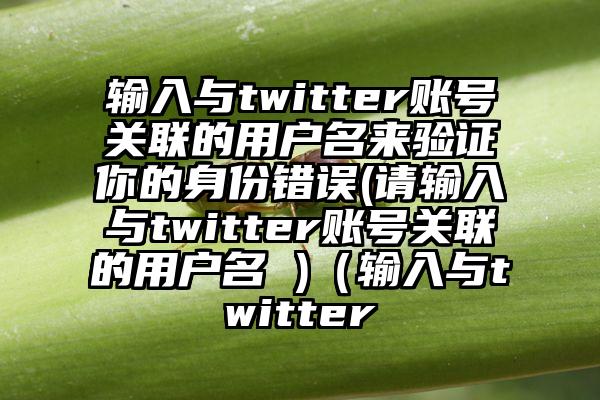 输入与twitter账号关联的用户名来验证你的身份错误(请输入与twitter账号关联的用户名 )（输入与twitter