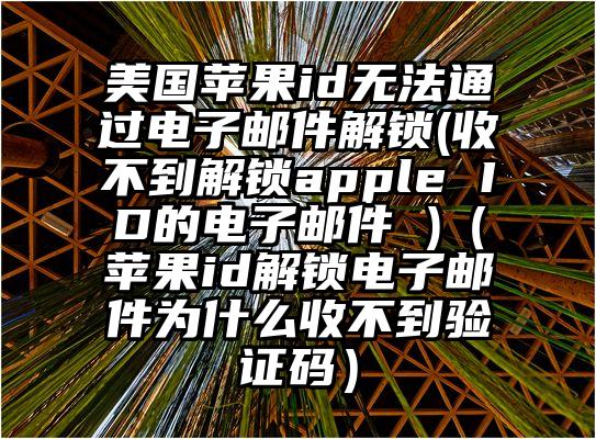 美国苹果id无法通过电子邮件解锁(收不到解锁apple ID的电子邮件 )（苹果id解锁电子邮件为什么收不到验证码）