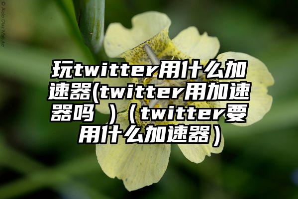 玩twitter用什么加速器(twitter用加速器吗 )（twitter要用什么加速器）