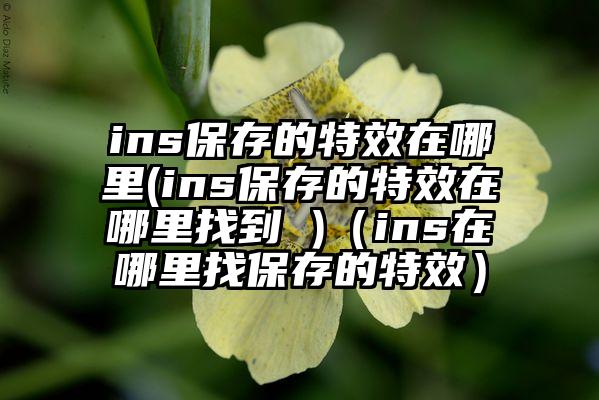 ins保存的特效在哪里(ins保存的特效在哪里找到 )（ins在哪里找保存的特效）