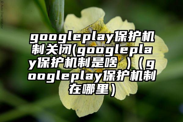 googleplay保护机制关闭(googleplay保护机制是啥 )（googleplay保护机制在哪里）