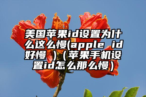 美国苹果id设置为什么这么慢(apple id好慢 )（苹果手机设置id怎么那么慢）