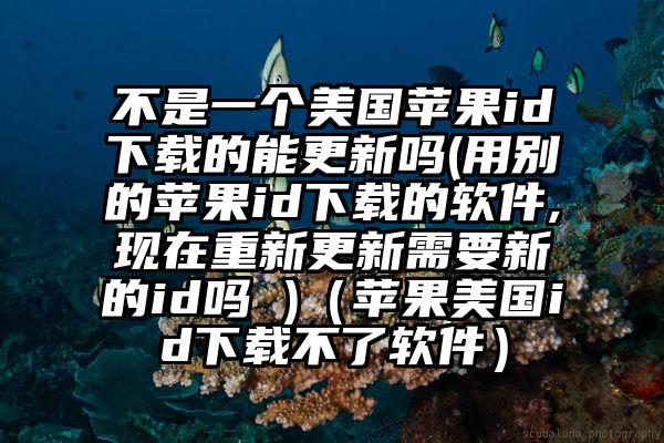 不是一个美国苹果id下载的能更新吗(用别的苹果id下载的软件,现在重新更新需要新的id吗 )（苹果美国id下载不了软件）
