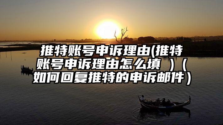 推特账号申诉理由(推特账号申诉理由怎么填 )（如何回复推特的申诉邮件）