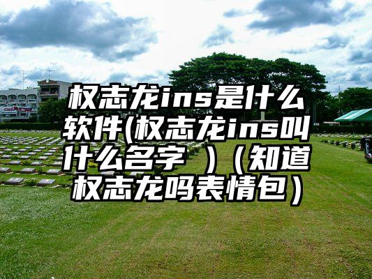 权志龙ins是什么软件(权志龙ins叫什么名字 )（知道权志龙吗表情包）