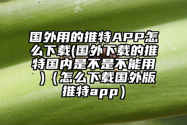 国外用的推特APP怎么下载(国外下载的推特国内是不是不能用 )（怎么下载国外版推特app）