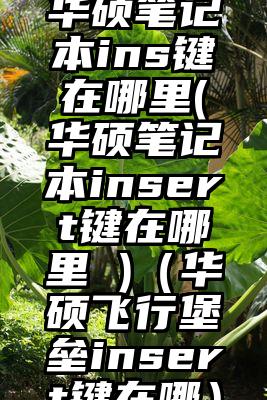 华硕笔记本ins键在哪里(华硕笔记本insert键在哪里 )（华硕飞行堡垒insert键在哪）