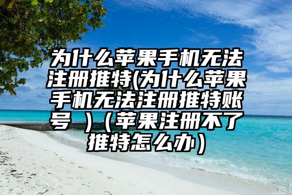 为什么苹果手机无法注册推特(为什么苹果手机无法注册推特账号 )（苹果注册不了推特怎么办）