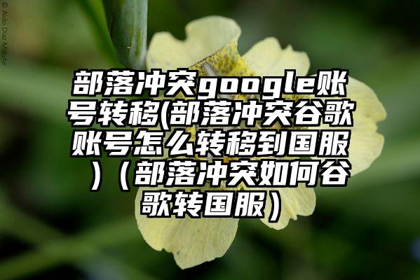 部落冲突google账号转移(部落冲突谷歌账号怎么转移到国服 )（部落冲突如何谷歌转国服）