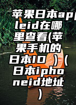 苹果日本appleid在哪里查看(苹果手机的日本ID )（日本iphoneid地址）