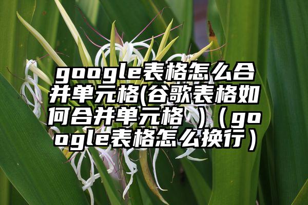 google表格怎么合并单元格(谷歌表格如何合并单元格 )（google表格怎么换行）