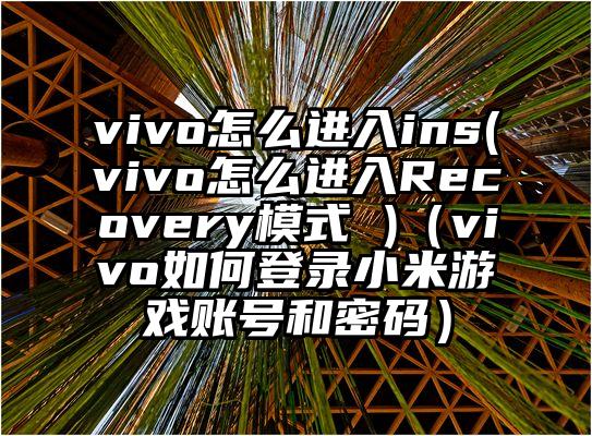 vivo怎么进入ins(vivo怎么进入Recovery模式 )（vivo如何登录小米游戏账号和密码）