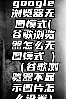 google浏览器无图模式(谷歌浏览器怎么无图模式 )（谷歌浏览器不显示图片怎么设置）