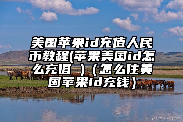 美国苹果id充值人民币教程(苹果美国id怎么充值 )（怎么往美国苹果id充钱）