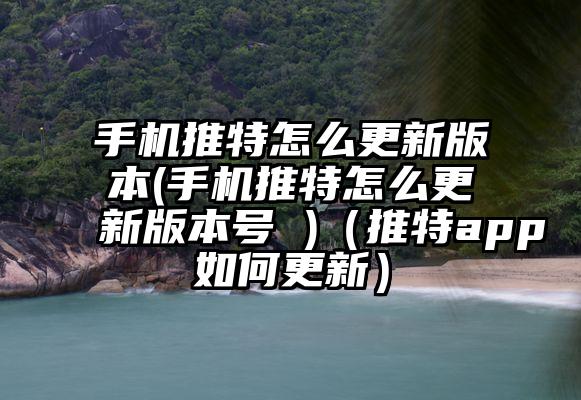 手机推特怎么更新版本(手机推特怎么更新版本号 )（推特app如何更新）